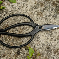 Bonsai Wakashishi Scissors Shirogami 60 mm