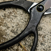Bonsai Wakashishi Scissors Shirogami 60 mm