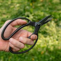 Bonsai Wakashishi Scissors Shirogami 60 mm