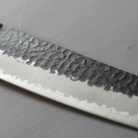 Hokiyama Gyuto Aogami Super Tsuchime 210 mm_2