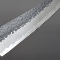 Hokiyama Gyuto Aogami Super Tsuchime 210 mm_3