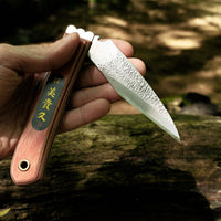 Ikeuchi Folding Kiridashi Tsuchime 120 mm