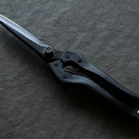 KUROCO Japonske enoročne vrtne škarje za obrezovanje 260 mm