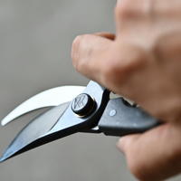 KUROCO Japonske vrtne škarje za obrezovanje vej 200 mm