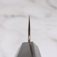 ZDP-189 Gyuto Silver Ebony 210 mm