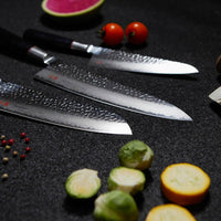 Senzo Classic Gyuto 200 mm_7