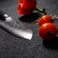 Senzo Classic Santoku 165 mm_7