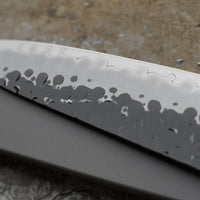 Tojiro Gyuto DP Hammered 240 mm_4
