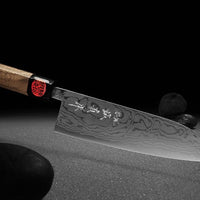 Tanaka Santoku Aogami #2 165 mm_15