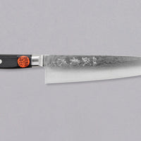 Tanaka Gyuto Kyokko VG-10 Damascus 210 mm_1