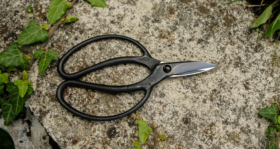 Bonsai Wakashishi Scissors Shirogami 60 mm
