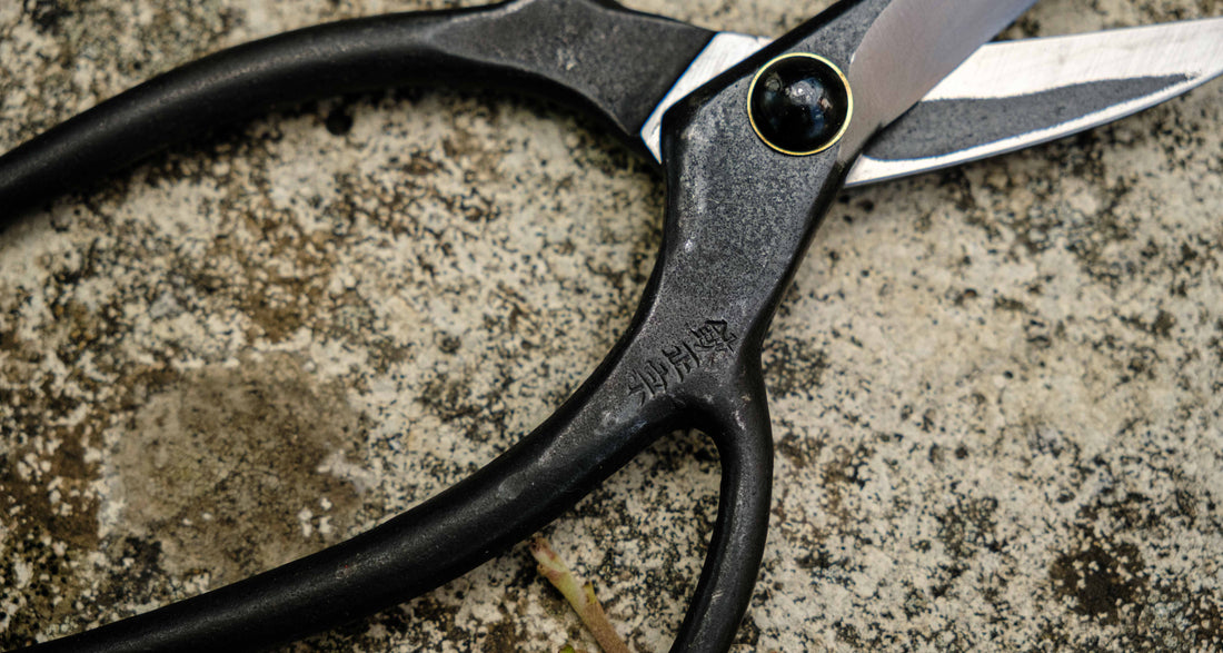 Bonsai Wakashishi Scissors Shirogami 60 mm