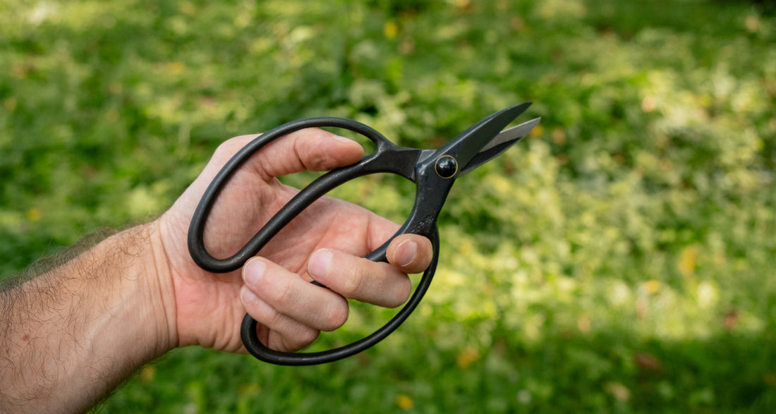 Bonsai Wakashishi Scissors Shirogami 60 mm