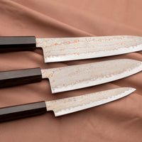 Celoten Rainbow Damascus set japonskih nožev - sestavljajo ga gyuto, santoku in petty. Vse dobite v OsterRob!