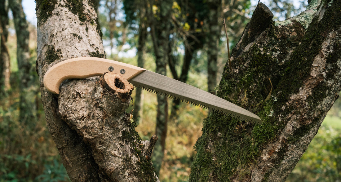 Kenryu Japonska žaga za veje 240 mm