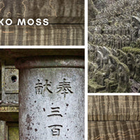 Japonski ročaj Nikko Moss