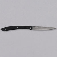 Saji zložljiv nož za zrezke SG2 Damascus 100 mm [Black Micarta]