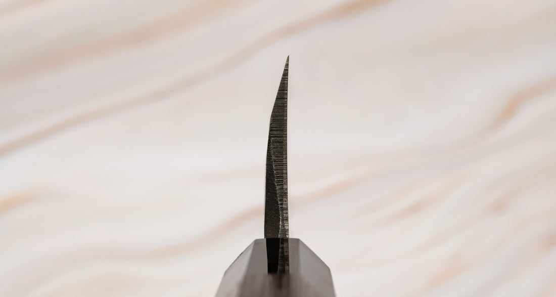 Shirasagi Deba Aogami #2 Tsuchime Kuro-uchi 180 mm