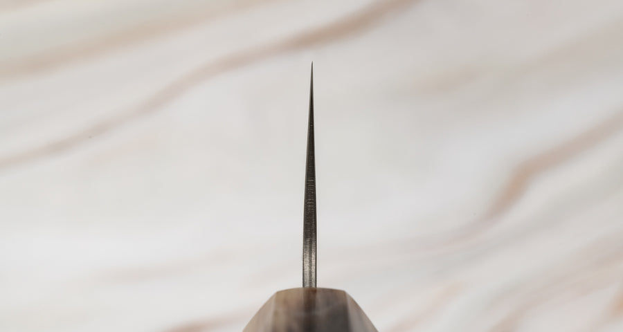 Tsunehisa Gyuto Swedish steel Damascus Nashiji 210 mm