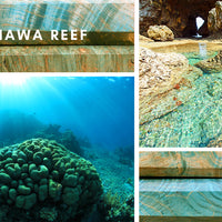 Japonski ročaj Okinawa Reef